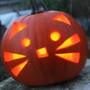 Meet your Posher, Cynthia